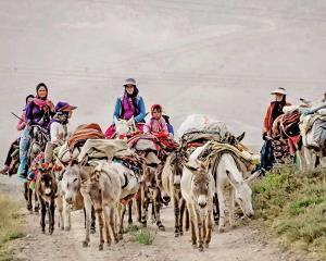 روایتی از تاریخ صنعت حمل و نقل در ایران
